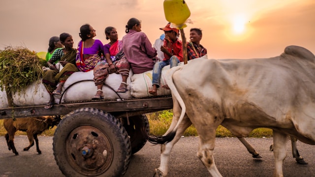 How Digital Storytelling Is Changing Africa's Creative Economy