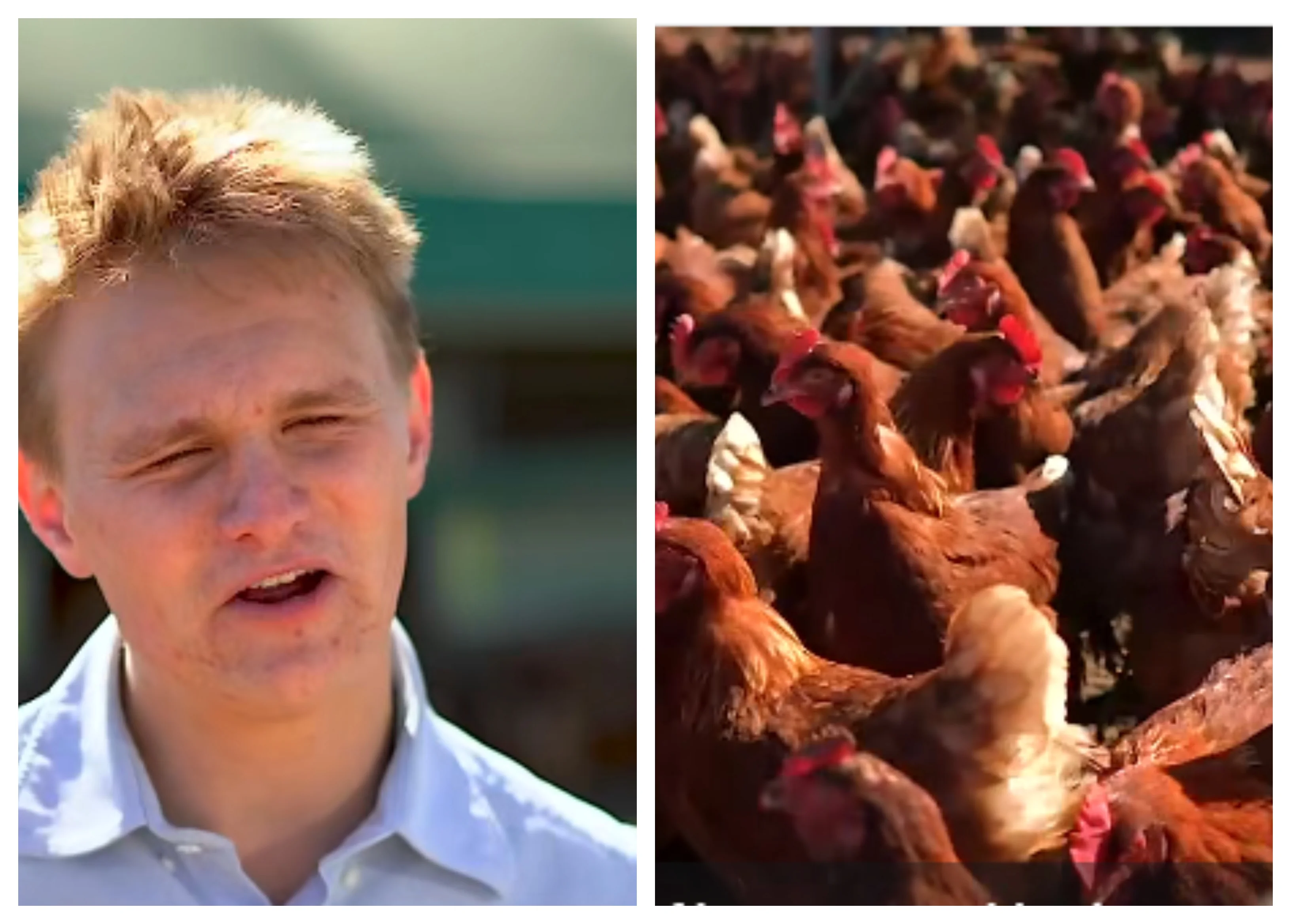Josh Murray, 24, Recalls Starting $Multi-Million Egg Empire Starting With 40 Hens at Age 9